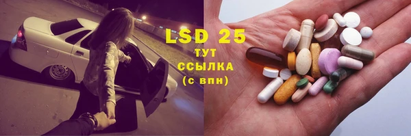 дмт Пересвет