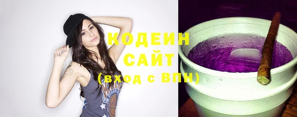 дмт Пересвет