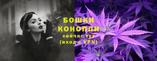 дмт Пересвет