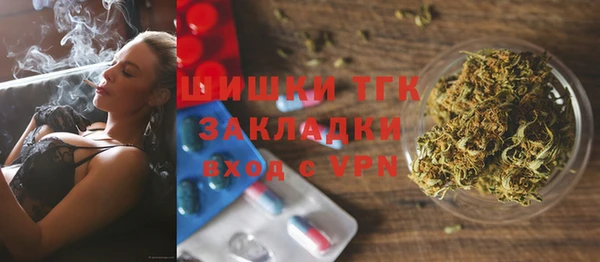 дмт Пересвет