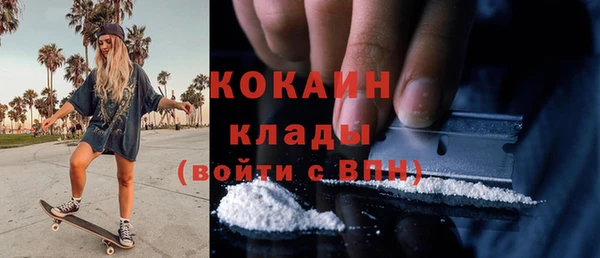 дмт Пересвет