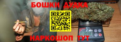 гашик Дубна