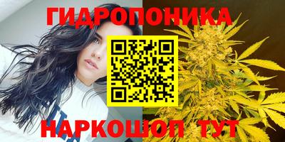 гашик Дубна